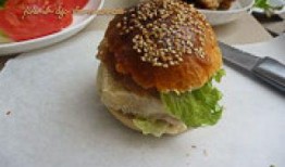 汉堡肉饼爆料视频教程下载,视频教程精华概述